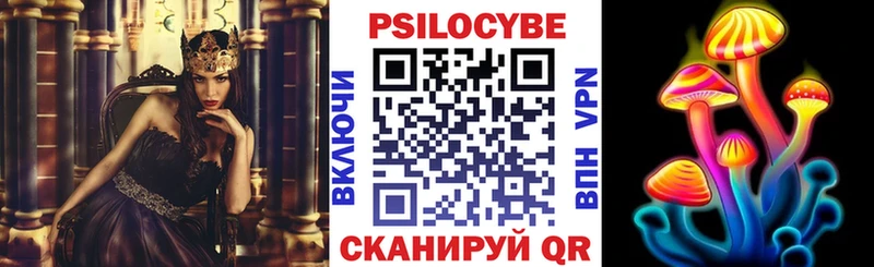 Псилоцибиновые грибы Psilocybe Буй